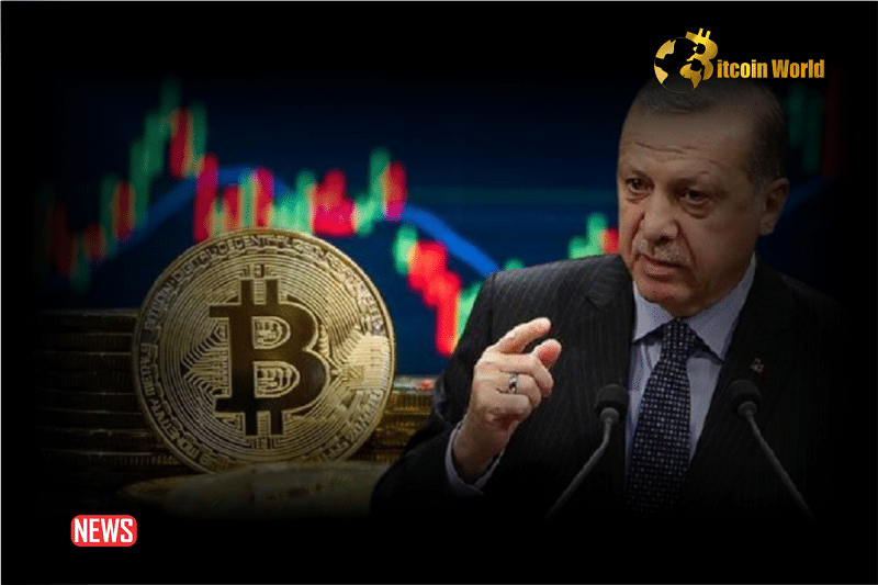Turkey Appoints Crypto Professor To Central Bank Monetary Policy Committee