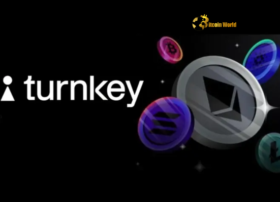 Turnkey Secures Triumphant $30M Funding for Crypto Wallet Infrastructure