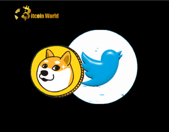 Dogecoin: Dependency on Twitter Spurs Volatility, Investors Concerned