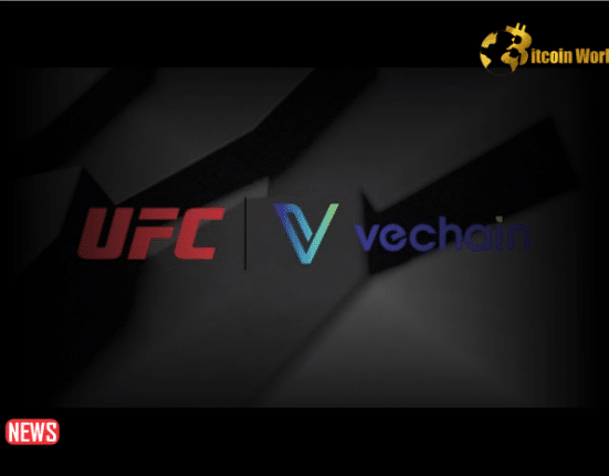 VeChain Teams Up With UFC To Tokenize Fighter Gloves