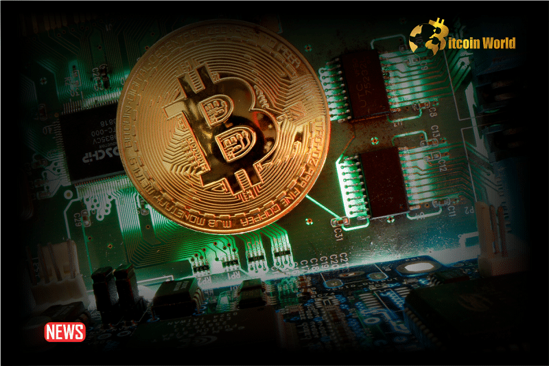 Próspera, Honduras Has Embraced Bitcoin As A Unit Of Account