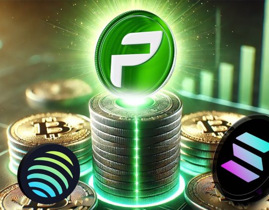 PCHAIN Will Rise Above 50,000%,