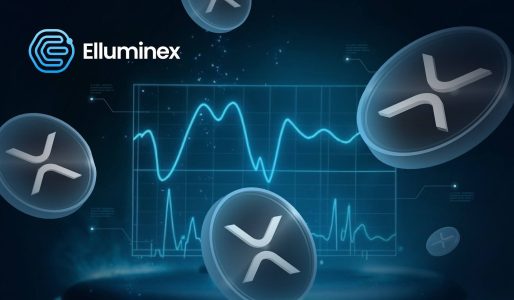 XRP’s Integration into Decentralized Finance: A Game Changer? unnamed 2025 03 06T171631.991