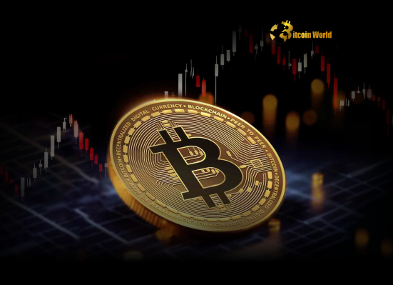 Unstoppable Bitcoin Rally Why Profit Taking Signals Continued Growth