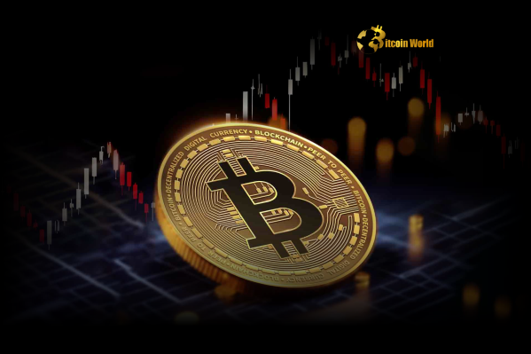 Unstoppable Bitcoin Rally Why Profit Taking Signals Continued Growth