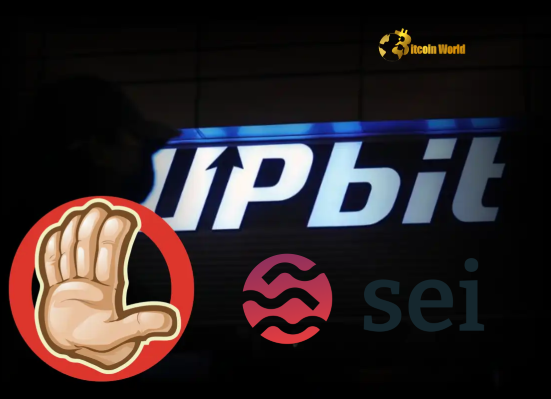 Upbit Announces Important Temporary Suspension of SEI Services