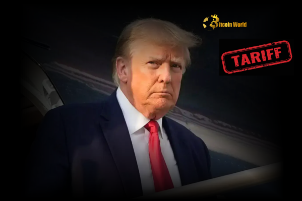 US Court Ruling Declares Trump Tariff Overreach A Stunning Rebuke to Executive Power