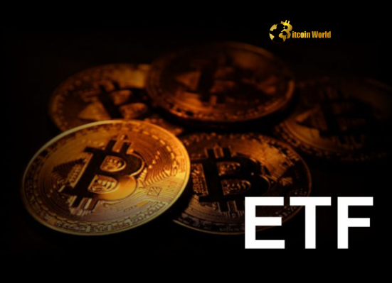 US Spot Bitcoin ETF Unveiling Key Trends in $87M Net Inflow