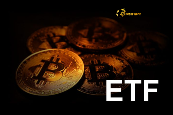 US Spot Bitcoin ETF Unveiling Key Trends in $87M Net Inflow