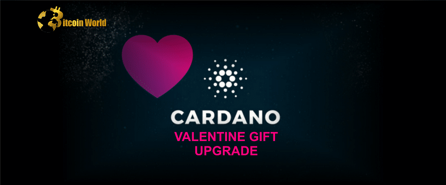 Valentine’s Day Gift for Cardano Community: The Much-Anticipated Upgrade is Almost Here