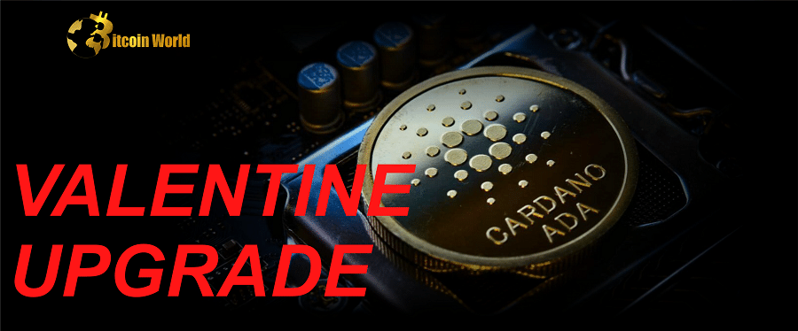 Despite ‘Valentine Upgrade,’ Cardano [ADA] investors remain dissatisfied