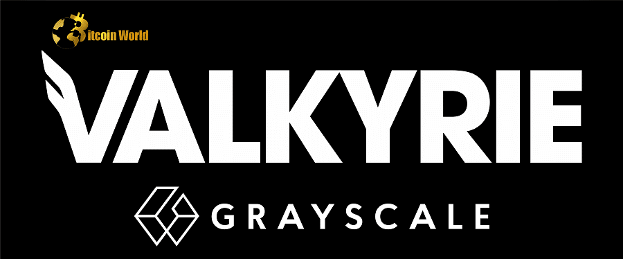 Valkyrie aims to rescue Grayscale’s Bitcoin Trust