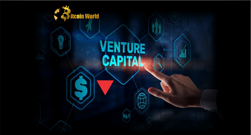 venture cap 1