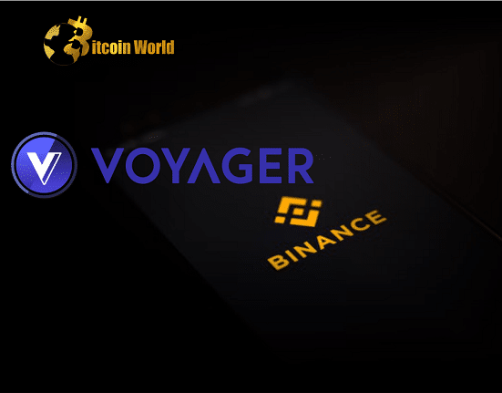 voyager bin