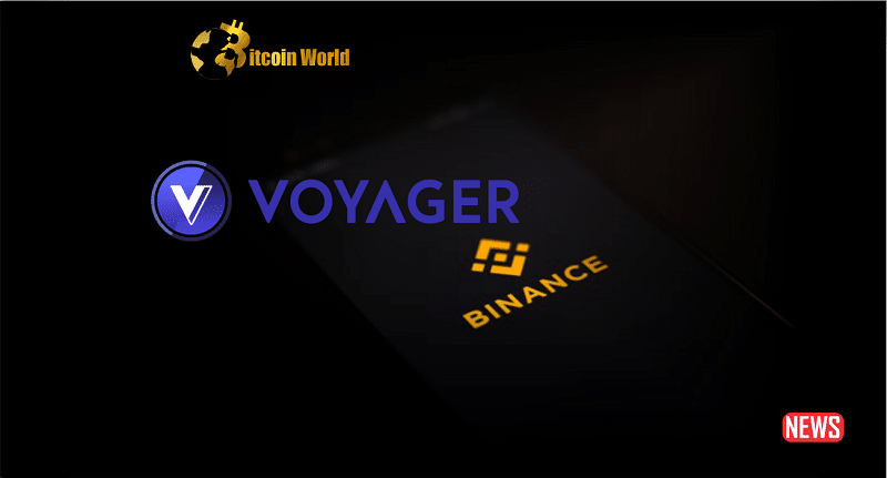 voyager bin