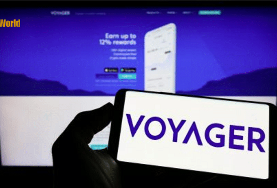 Voyager Victim Calls for Trustee to Seize Control of the Estate