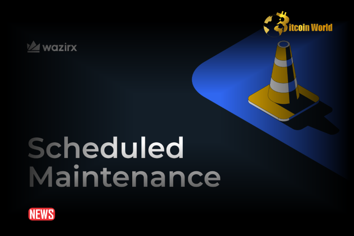 WazirX Completes Maintenance, Opens Trade And Restores Users Balances