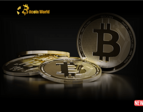 wealthy crypto trader
