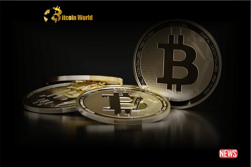 wealthy crypto trader
