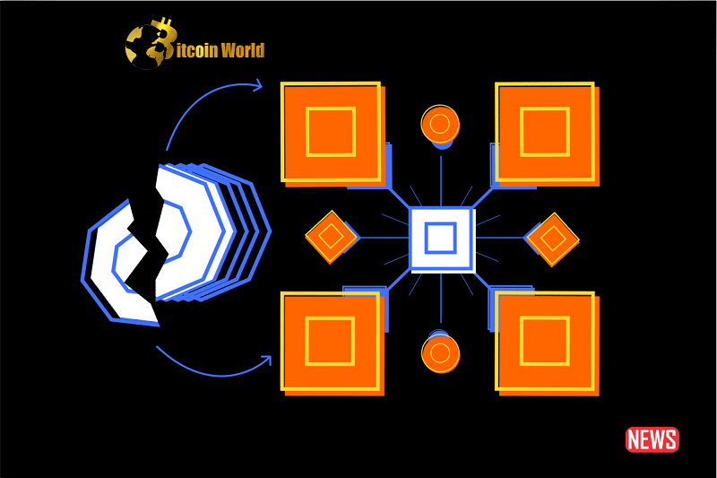 web 3 user