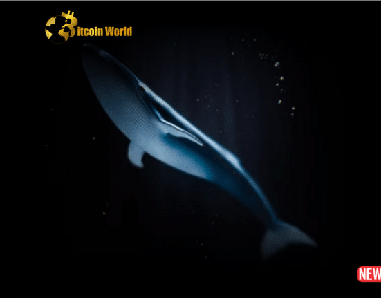 whale