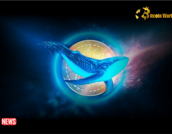 Three Giant Crypto Whales Became Active And Are Trading Altcoins In The Last Hours