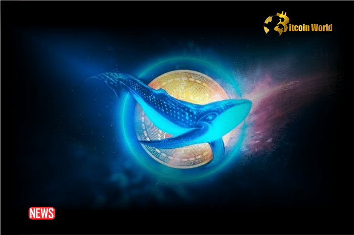 Three Giant Crypto Whales Became Active And Are Trading Altcoins In The Last Hours