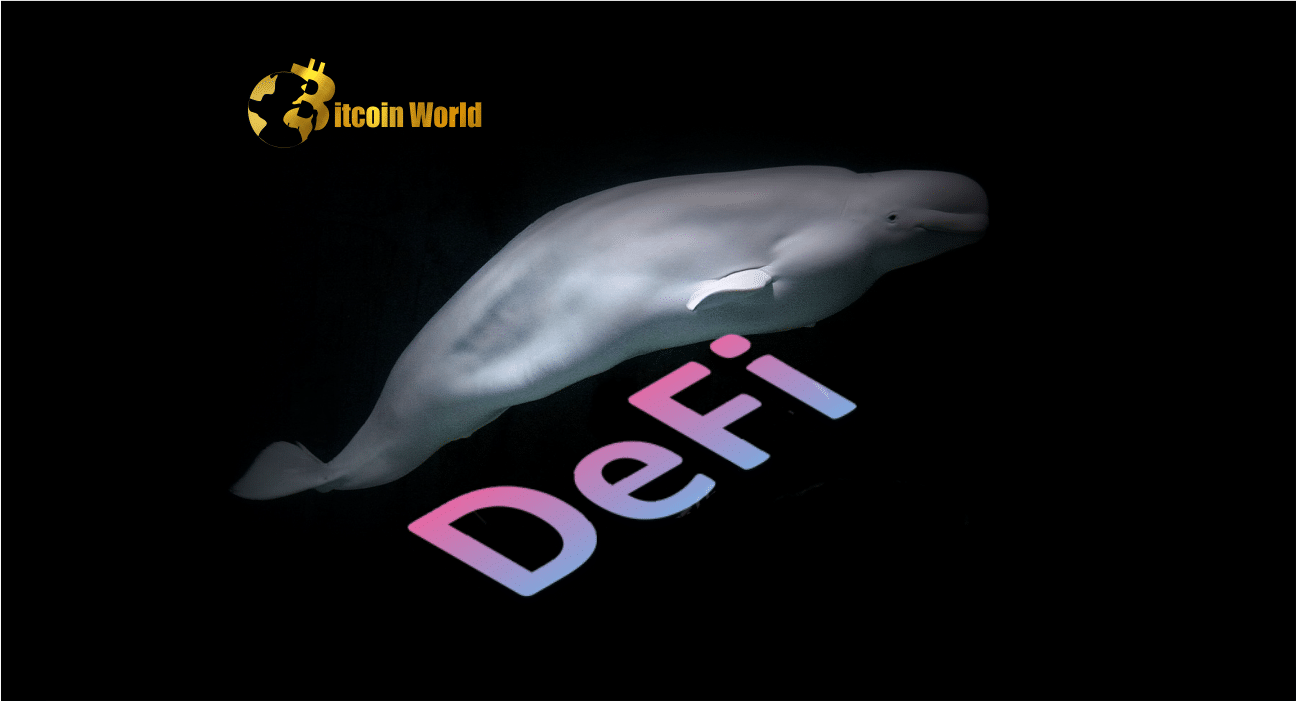 Founders and VCs Still Control Whale Accounts For These Leading DeFi Projects