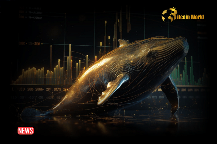 Whales Accumulating Hot Real World Asset-Focused Altcoin From Crypto Exchanges: Lookonchain