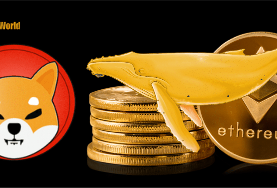 Shiba Inu ($SHIB) Becomes One of Ethereum Whales’ Biggest Holdings as SHIBArmy Grows