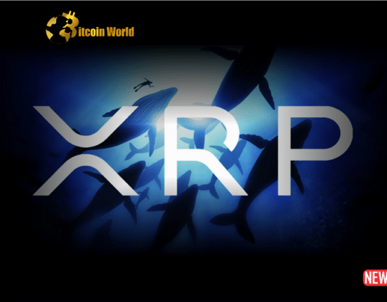 whales and xrp