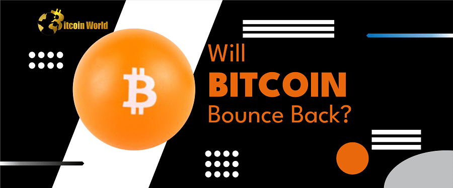 Bitcoin Has Bounced Back Ten Times, Will It Recover Again?