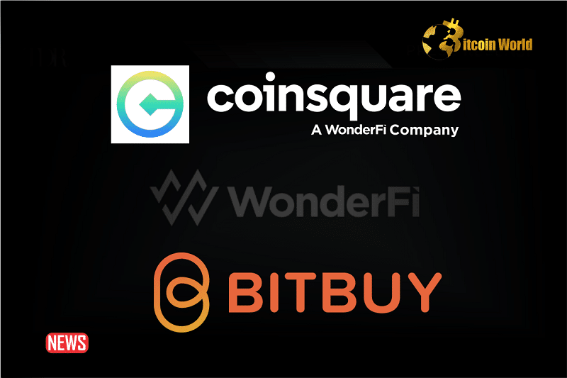 WonderFi Subsidiaries Experienced An Increase In Crypto Trading Volume