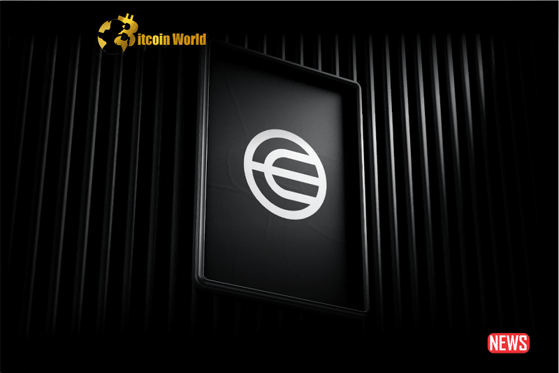 worldcoin verfi
