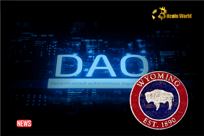 Wyoming Became First US State To Grant Legal Existence To DAOs, Thanks To The New Bill