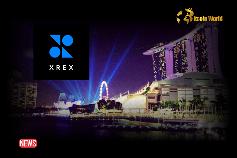 XREX Receives Approval For Crypto Payment Services In Singapore