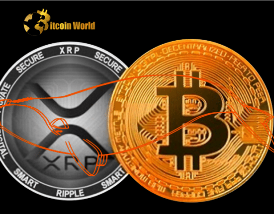 Bitcoin and XRP Whales Abruptly Move Over $650,000,000 Worth of Crypto in Just 24 Hours