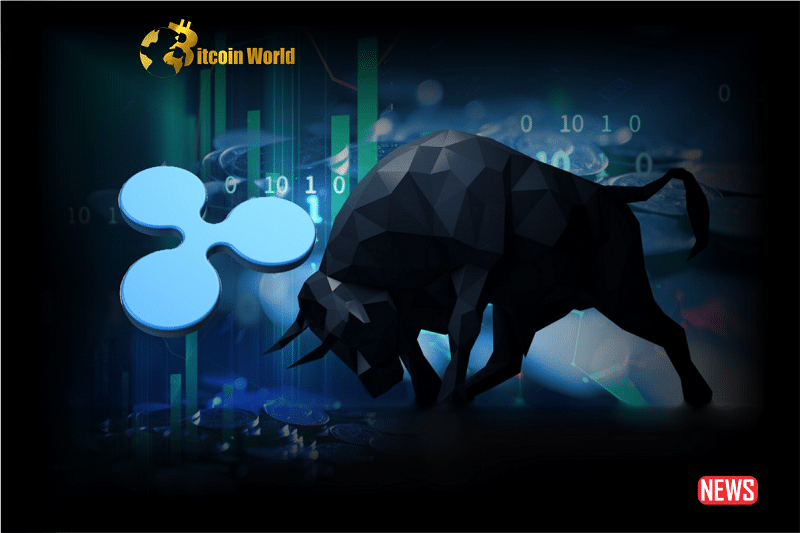 xrp bulli