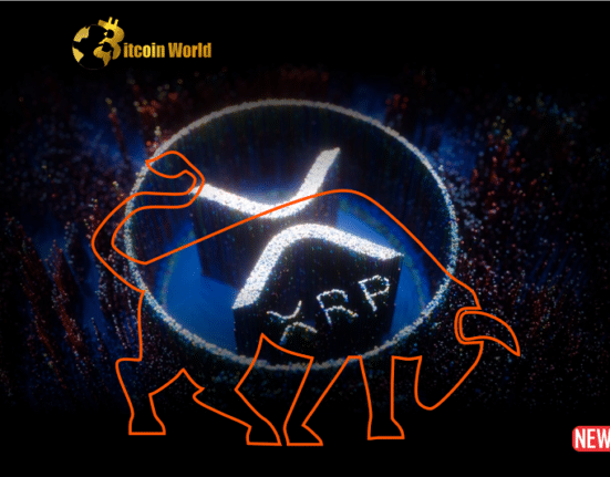 xrp bullish 1