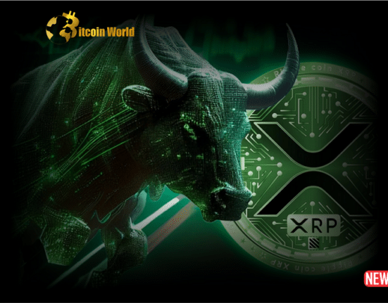 xrp bullish 2