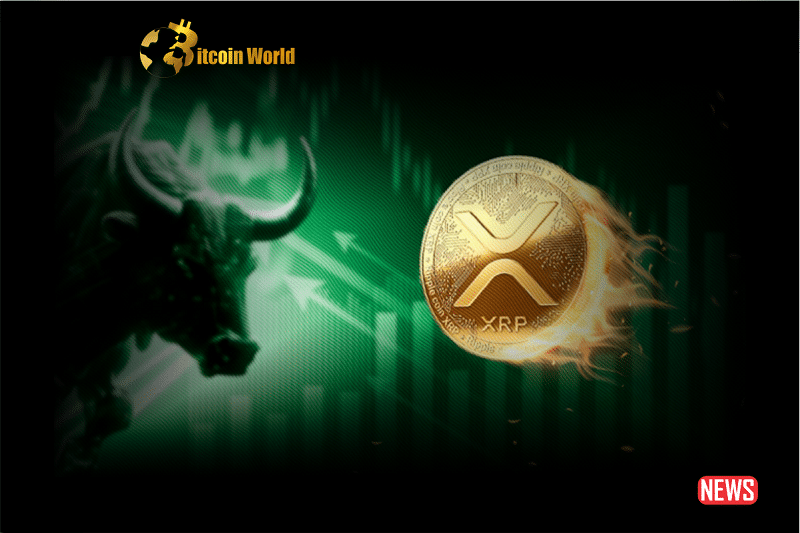 xrp bullish
