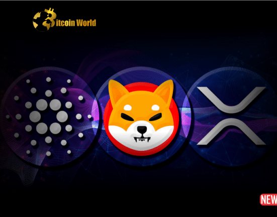 xrp cardano shib