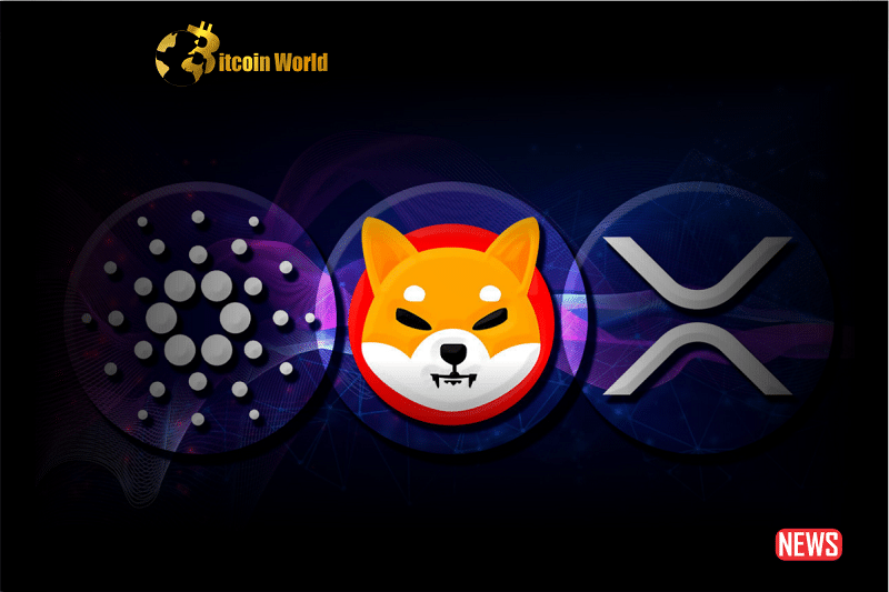 xrp cardano shib