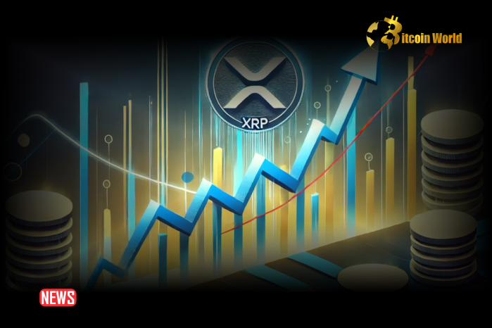 Ripple Aims to Lead In Digital Asset Infrastructure For Financial Services