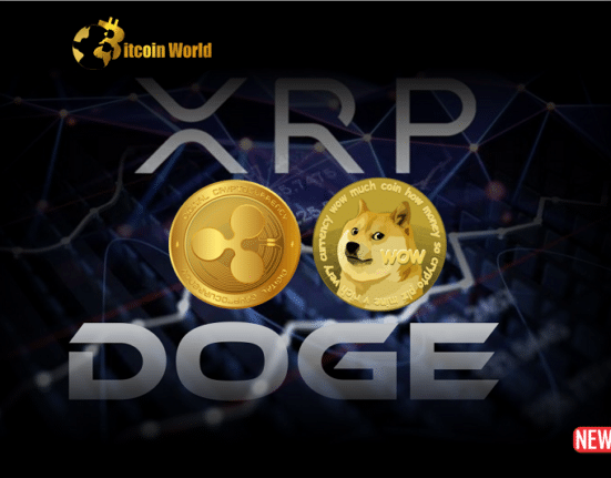 xrp doge 1