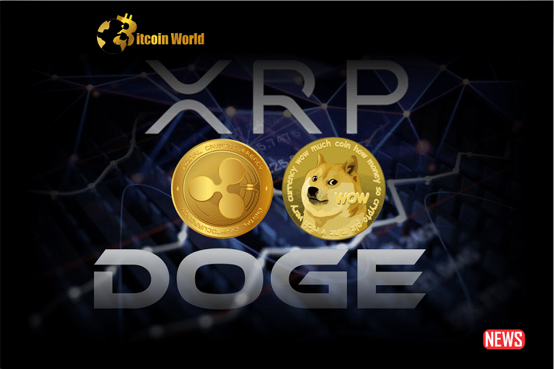 xrp doge 1