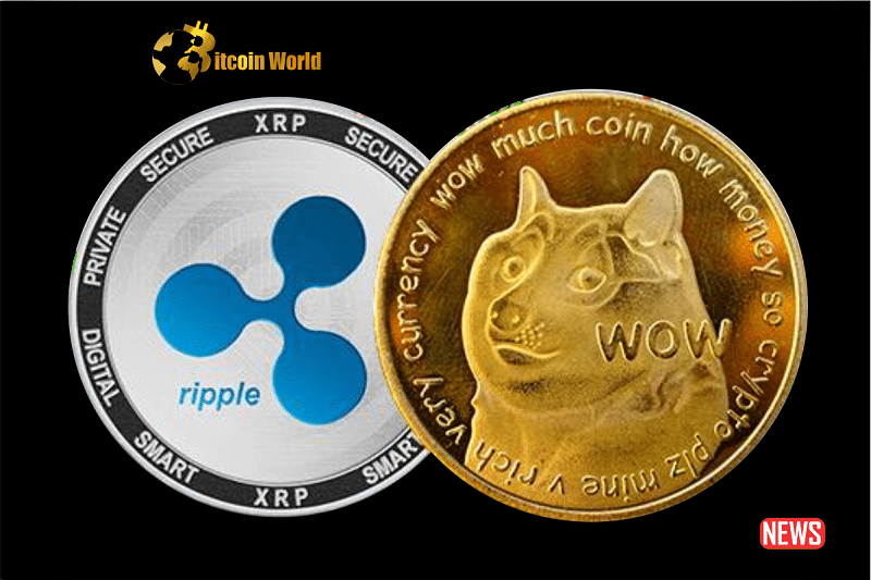 xrp doge