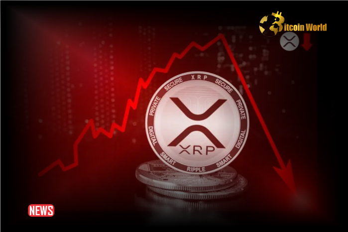 XRP Price Down More Than 6% Within 24 Hours