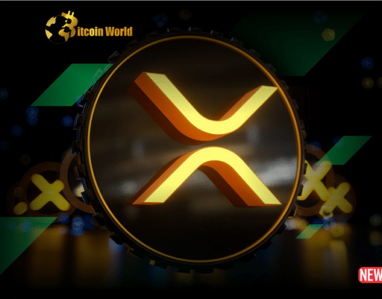 xrp finds