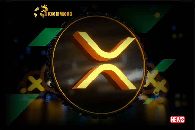 xrp finds